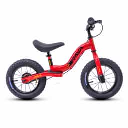 Bicicleta Infantil Rava Sunny | Pro