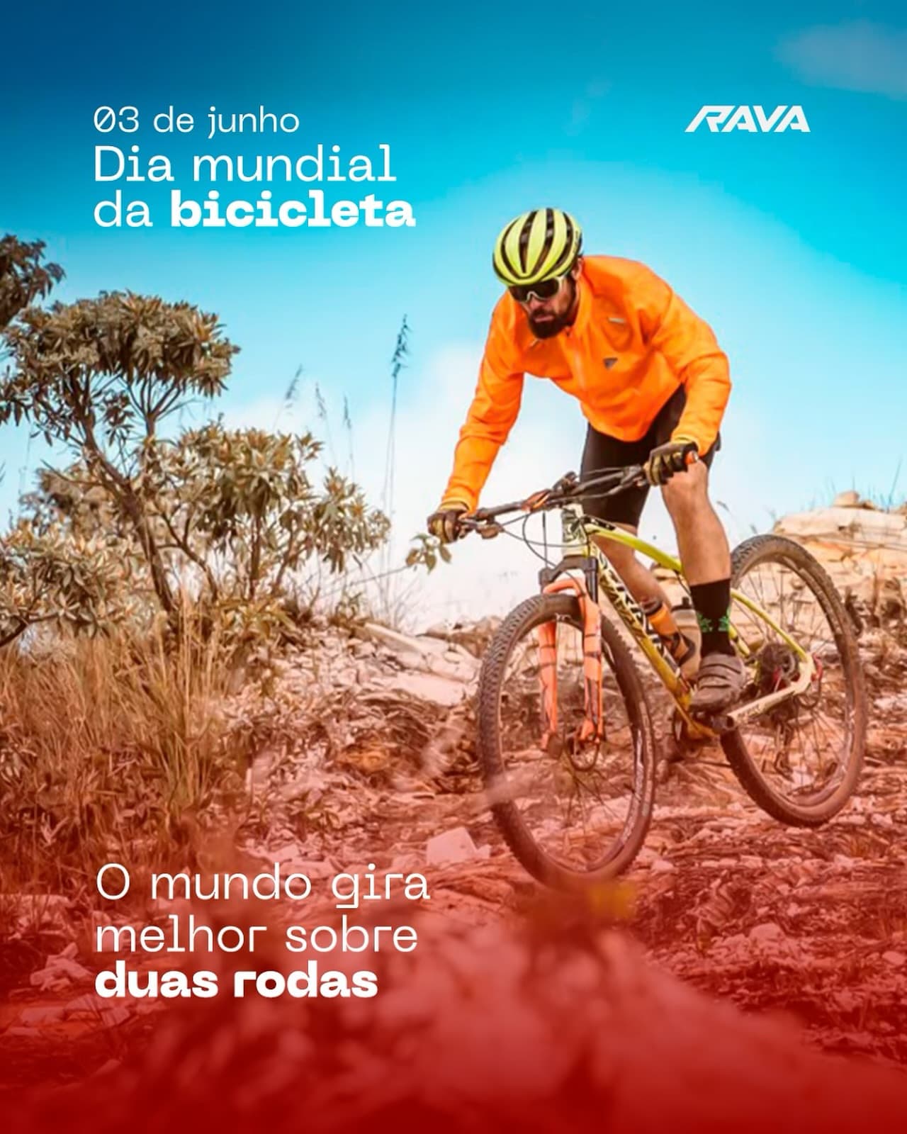 Coleção de bikes incríveis! Qual é a sua favorita? 🚲✨ #ravacycle #bikecollection #cycling #mtb